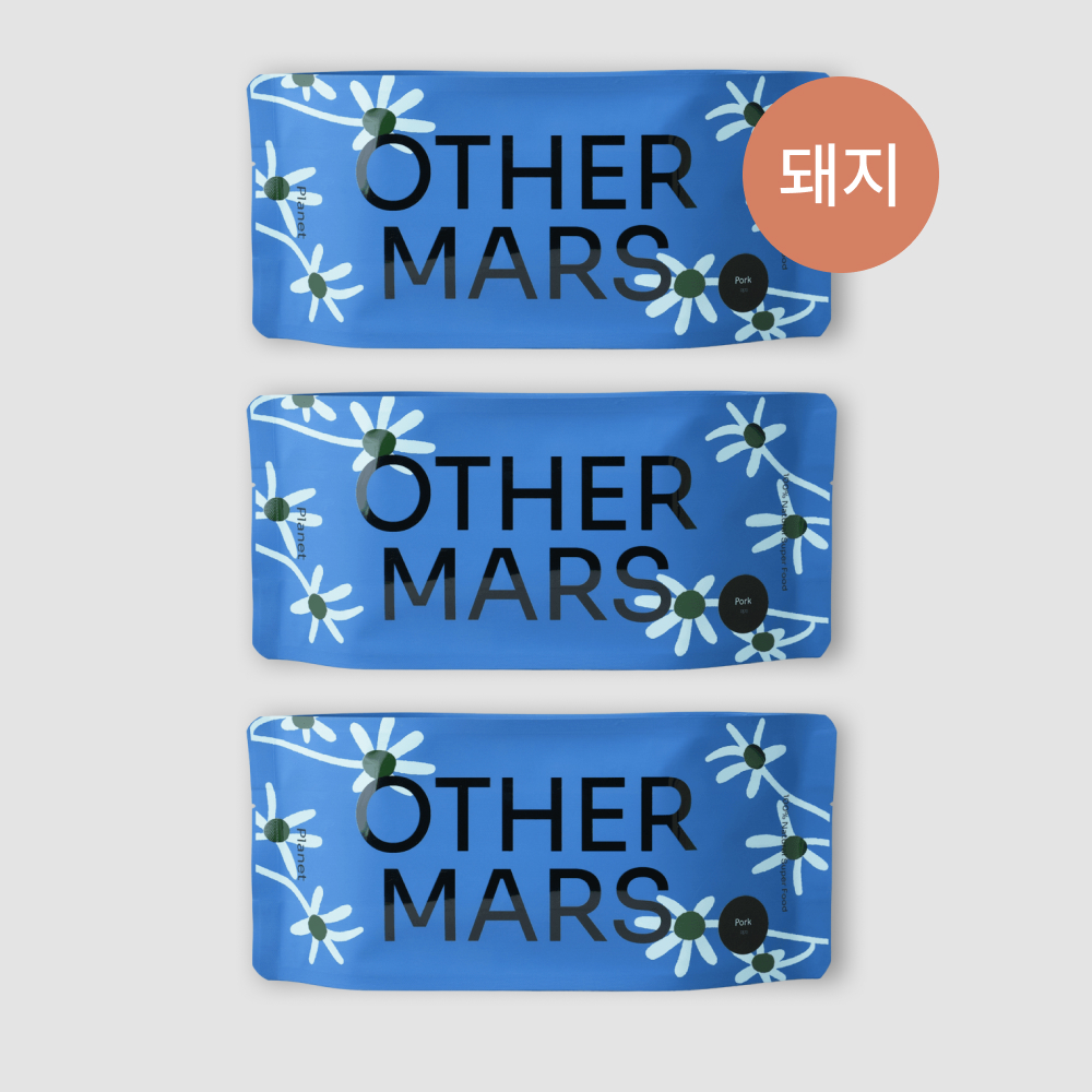 포크 플래닛 3개 세트