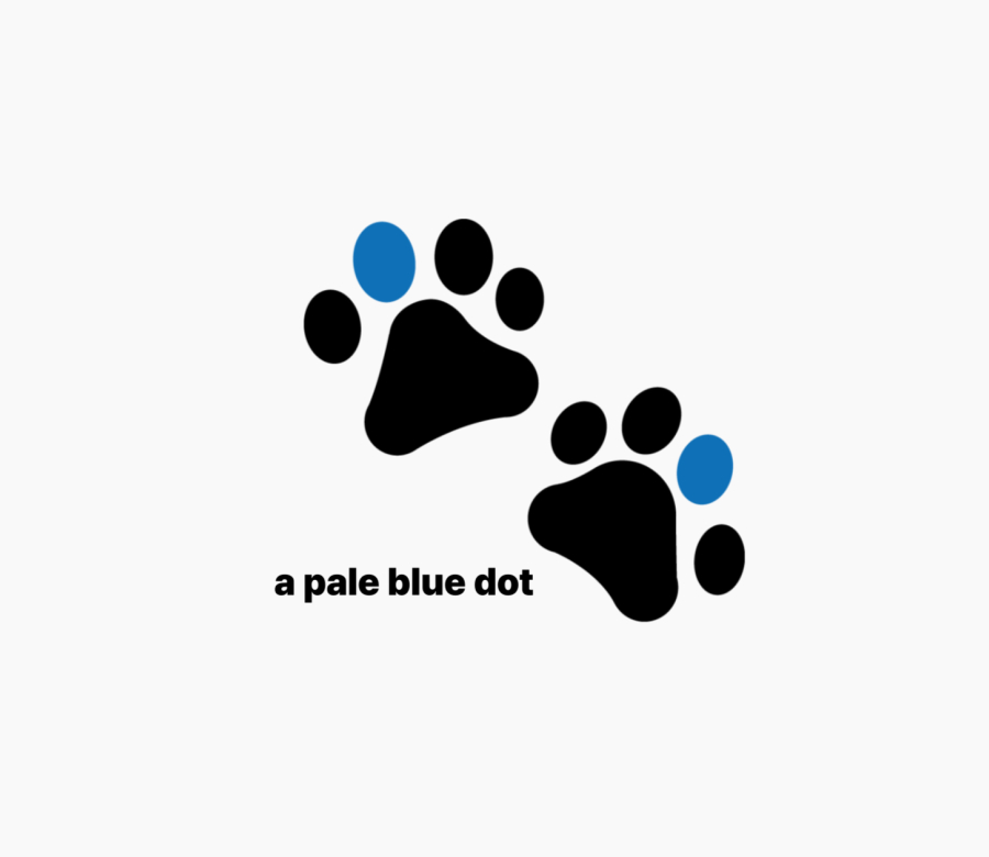 누가 생산하나요?