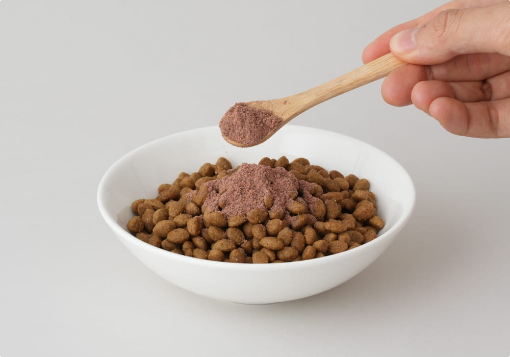맛있는 베리류 한스푼 톡!