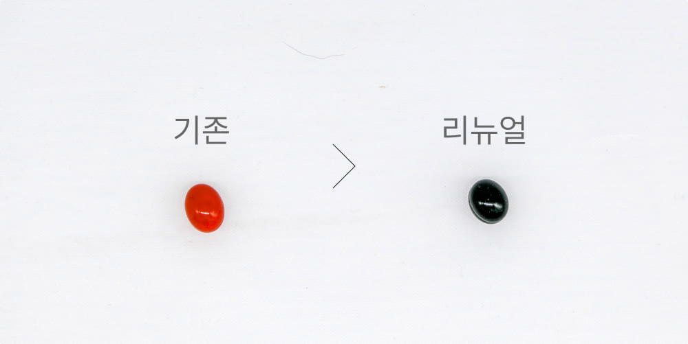 카놉틱 리뉴얼 안내