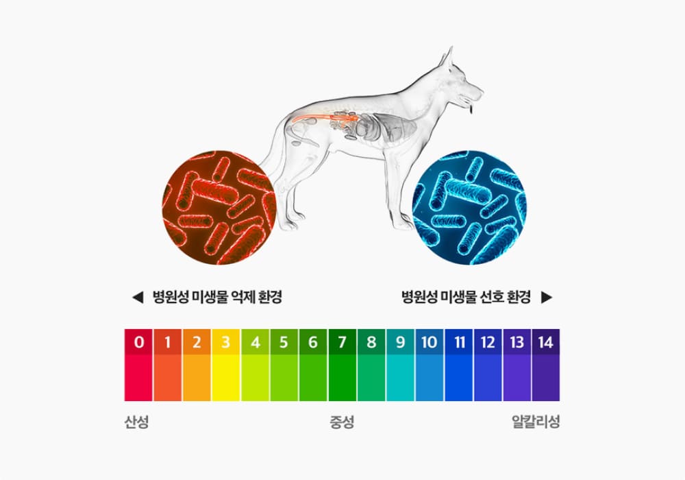 급성 설사에도 빠르게 도움