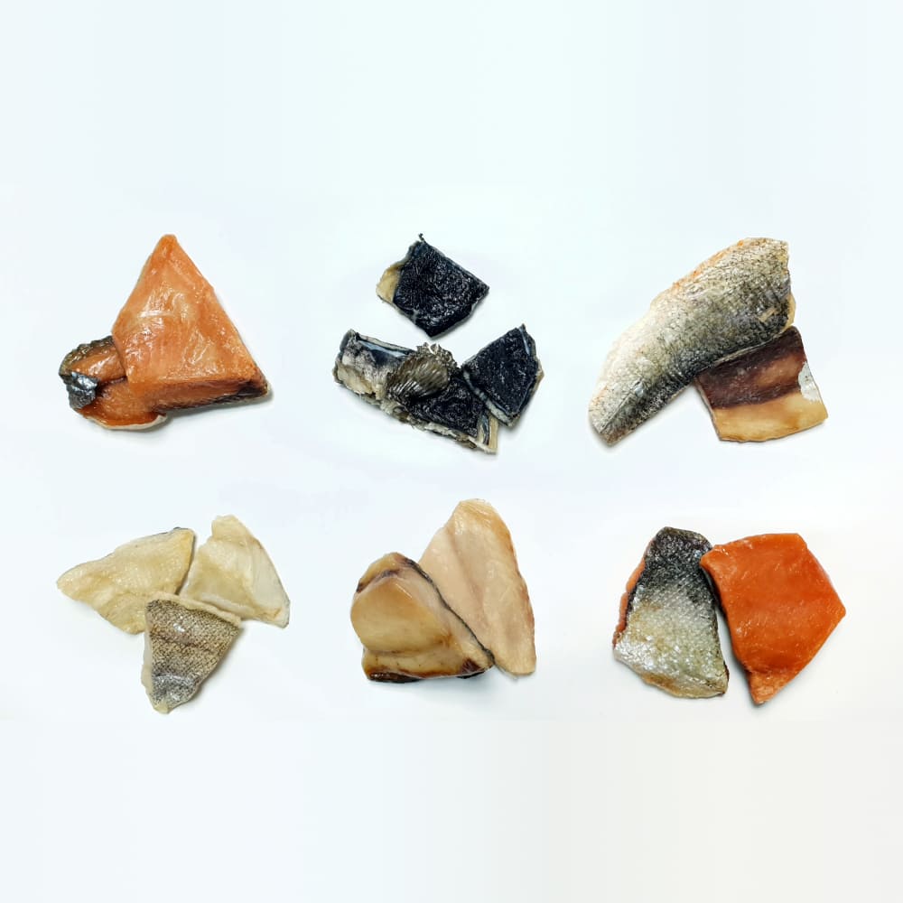 동해 바다 맛보기!