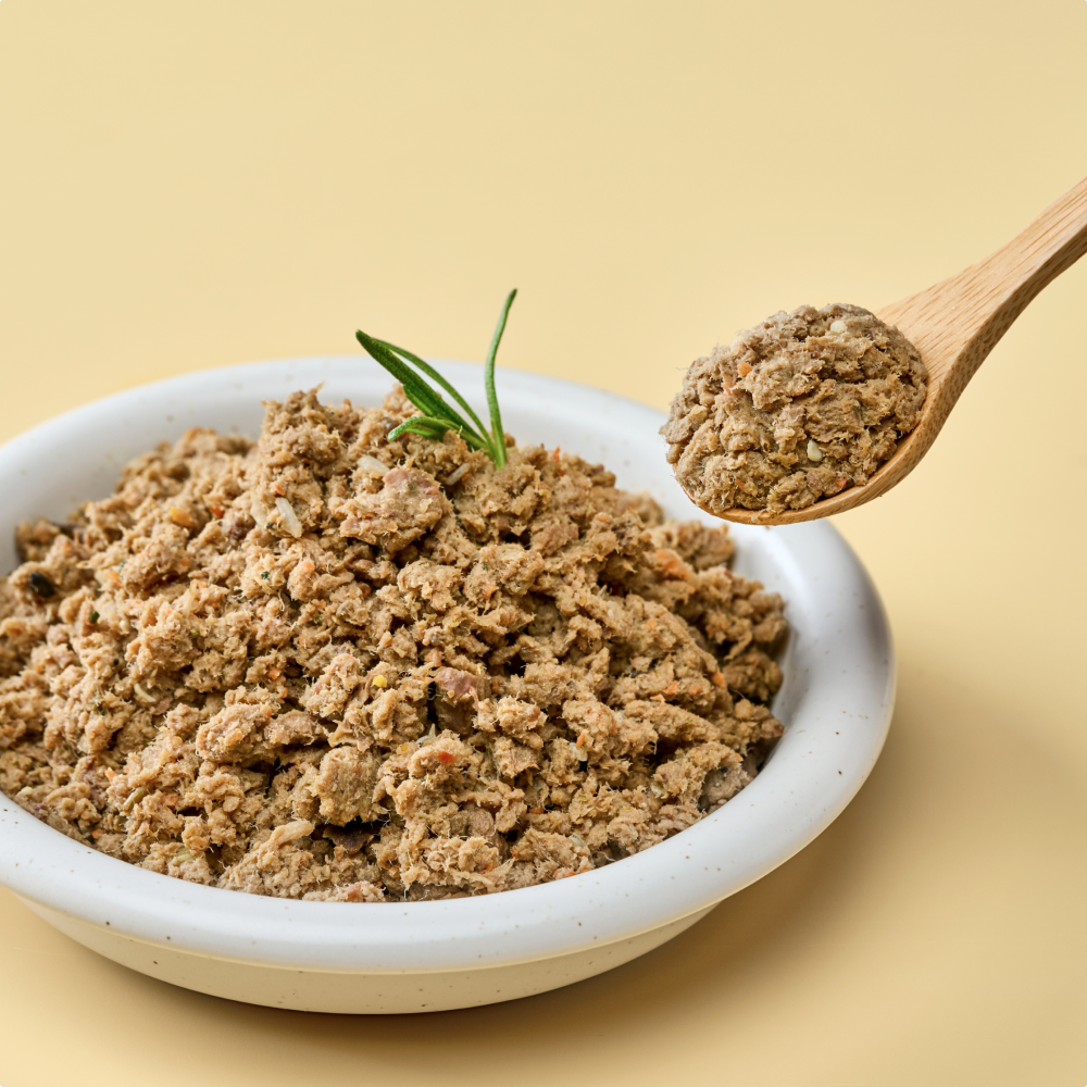 철분과 단백질의 시너지