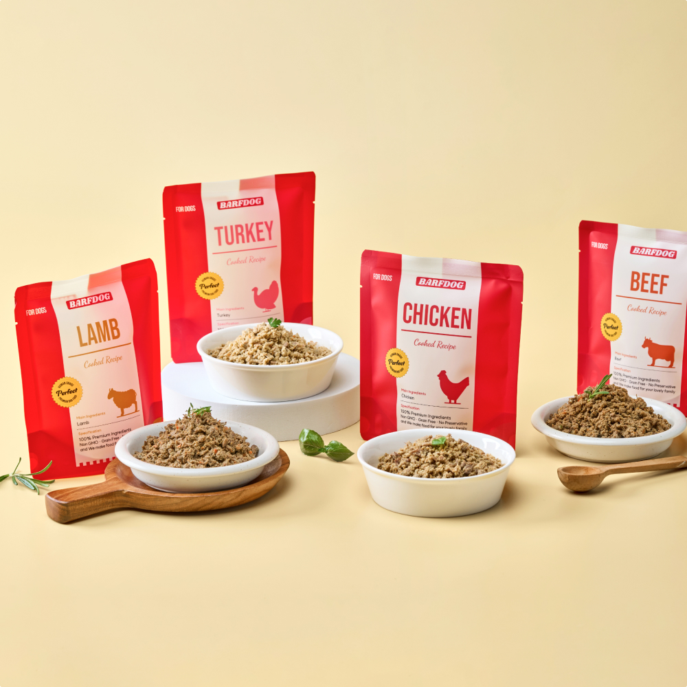 맞춤 단백질을 찾는 첫걸음