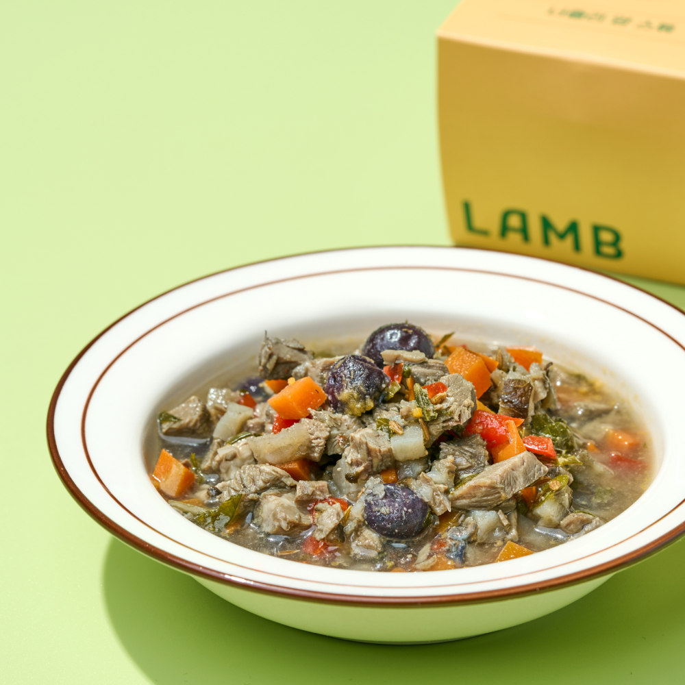 영양이 살아있는 
양 스튜