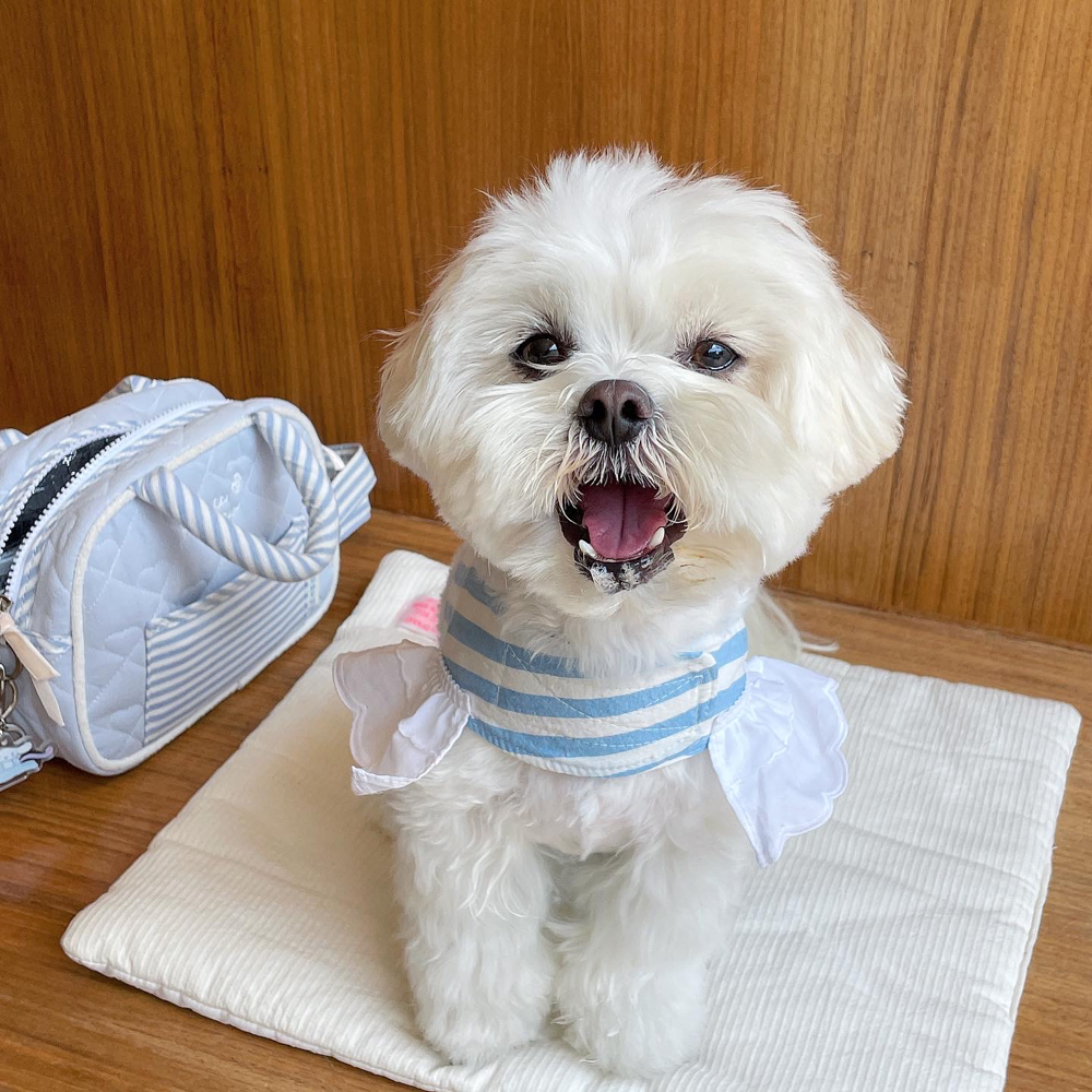 베이커리 종류 사주고 싶어서 구매해봤는데 너무 잘 먹네요!