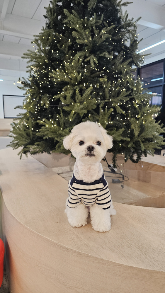 잘 먹는 화식중 하나  페피밀!
주토피아에 입점해서 너무 좋아요.