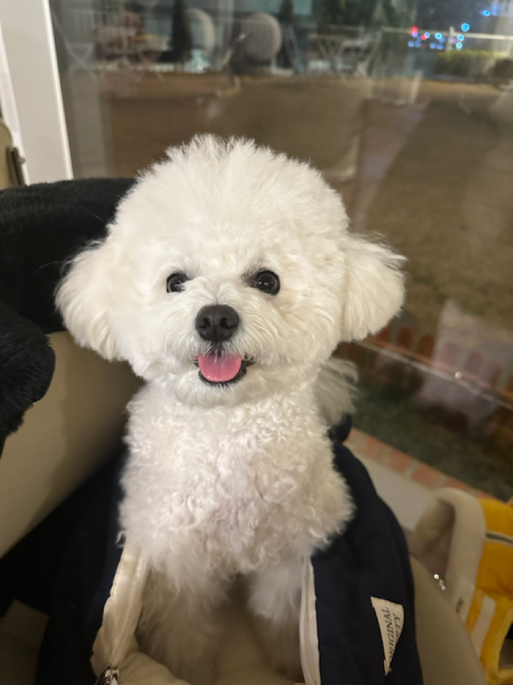 개별로 포장되어 있어서 너무 편해요
아이가 잘 먹고 입맛 없을 때 한 번씩 주고 있어요