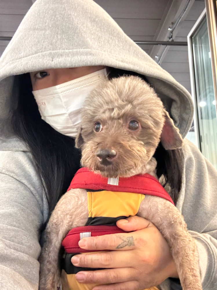 아주 환장을하면서 먹더라구요! 다음번 재구매의사 있습니당
보관도쉽고 먹이기도 쉽고 
실제로 열었을때 진짜 닭가슴살 구운?향이 강하게나서
저도 먹을뻔했어요;그만큼 최고란소리
