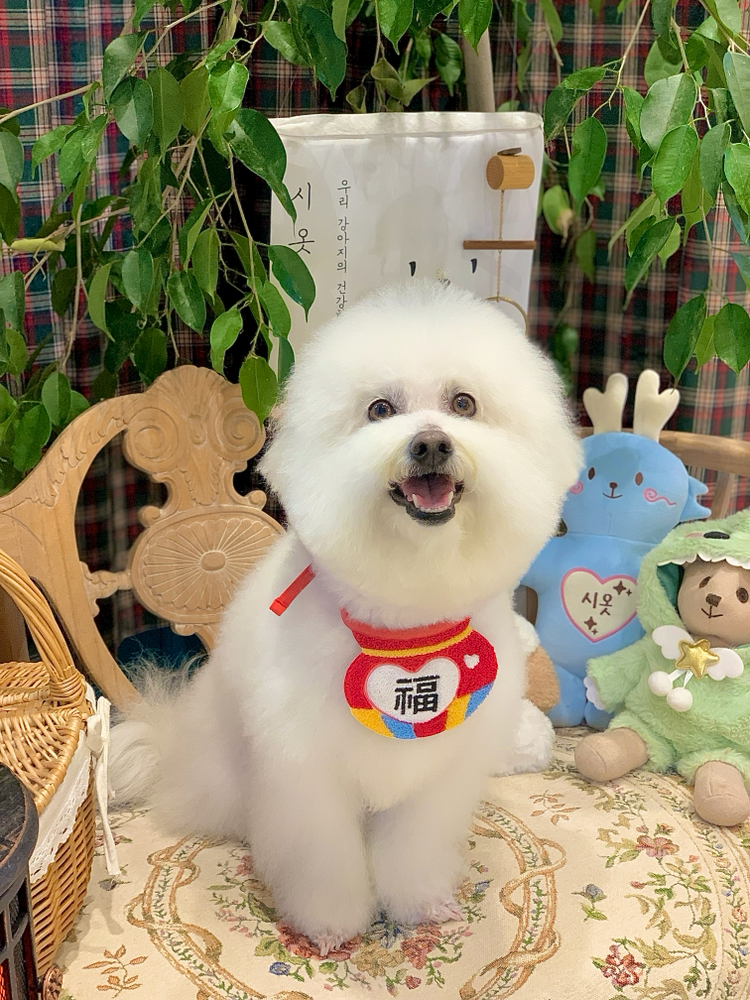주식이고 자연식이라 제조일자가 최근걸로 오는 줄 알았는데 입고일 기준이더라구요,, 제가 이건 주의깊게 상단을 확인하지 못한게 잘못이죠 뭐,, 유통기한은 남아있어도 좀 찝찝해서 빨리 소진하려고 한묶음은 친구 댕댕이네 줬어요. 기호성은 괜찮았습니다