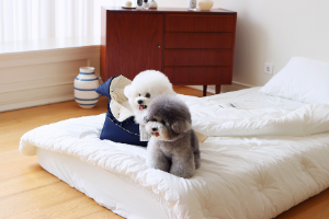 처음주문했는데 잘먹네요