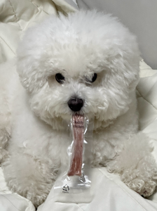 동글동글 쇠똥규리가 굴인거마냥 모양도 예쁘고 촉촉하고 기호성좋고 신선하고 좋은고기쓰고 한번 먹이기 시작하면 계속 먹이게 된답미다