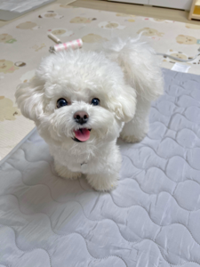 야채 다양하게 먹이고 싶어서 주문했어요