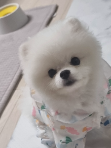 잘 먹을줄알았는데 생각보다 아이가 먹지를 않네요