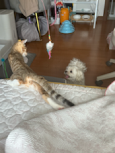 너무 잘 먹어요 좋아요👍🏻😍😍