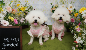 두 아이 다 위장이 약해서 저녁에는 포앤츄 산양유 유산균을 주고있어요 기호성도 좋고  장 활동에 확실이 효과가 있는 것 같아서 꾸준히 먹이고 있어요!!