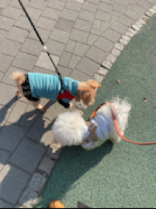 대용량 좋아요 잘 먹어요