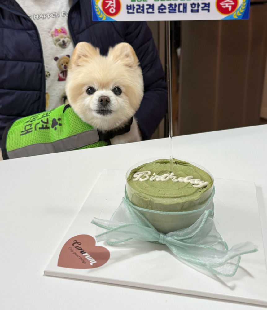 후기 사진