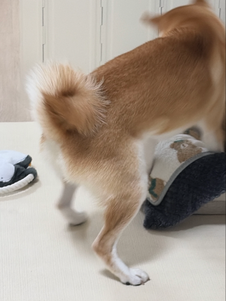 후기 사진
